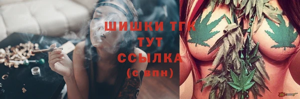 трава Осинники