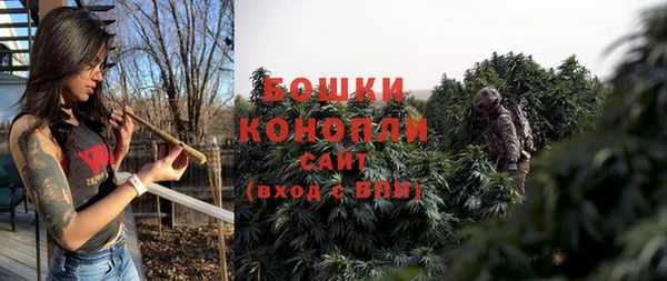 трава Осинники