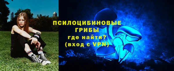 трава Осинники
