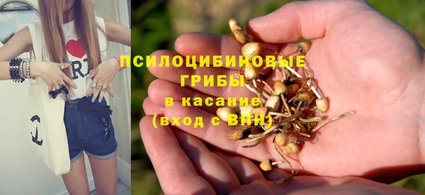спайс Дегтярск