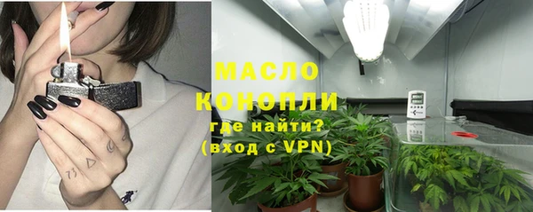 трава Осинники